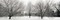 Winter Garden - 1 Poster Print by Alan Blaustein - Item # VARPDXABITH54